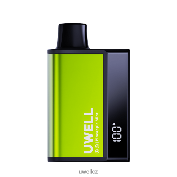 UWELL Recenze - UWELL DL8000 jednorázová vapa 6HT2F2284 ananasová máta